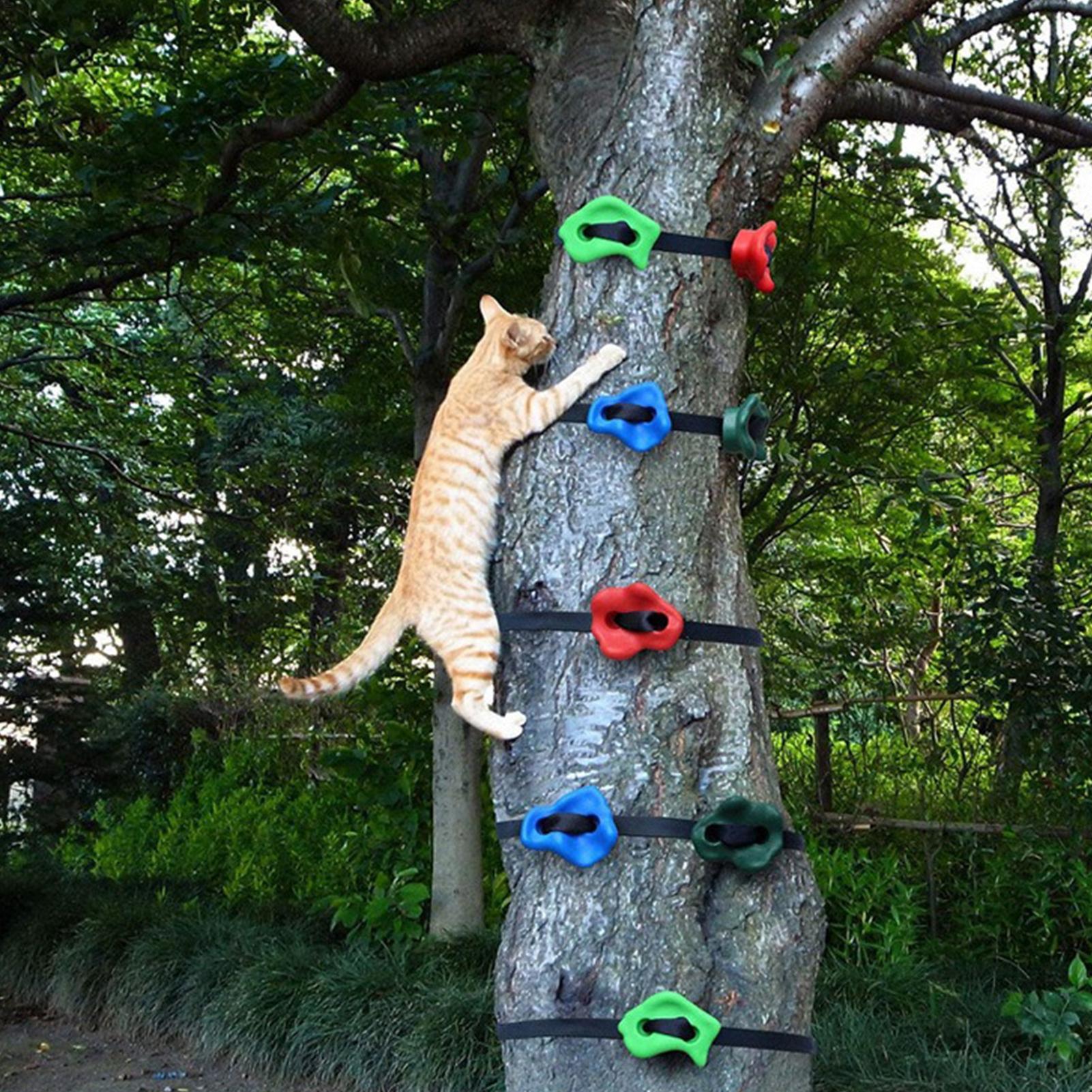 Boomklimmateriaal Verstelbaar  - Outdoor Adventure Store recensie en prijs